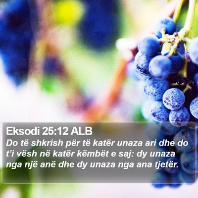 Eksodi 25:12 ALB Bible Verse Image
