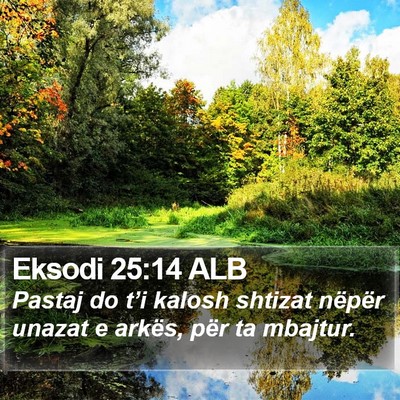 Eksodi 25:14 ALB Bible Verse Image