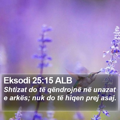 Eksodi 25:15 ALB Bible Verse Image