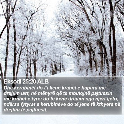 Eksodi 25:20 ALB Bible Verse Image