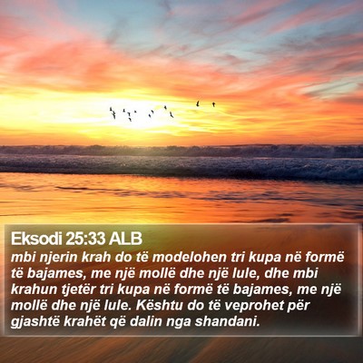 Eksodi 25:33 ALB Bible Verse Image