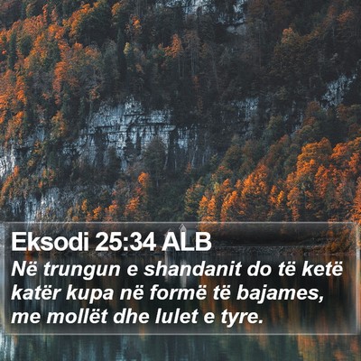 Eksodi 25:34 ALB Bible Verse Image