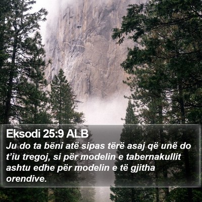 Eksodi 25:9 ALB Bible Verse Image