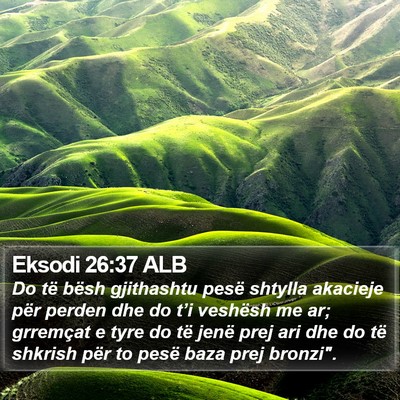 Eksodi 26:37 ALB Bible Verse Image