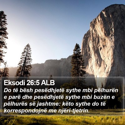 Eksodi 26:5 ALB Bible Verse Image
