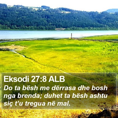 Eksodi 27:8 ALB Bible Verse Image