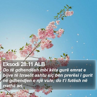 Eksodi 28:11 ALB Bible Verse Image