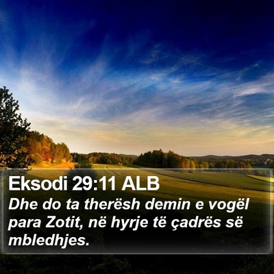 Eksodi 29:11 ALB Bible Verse Image