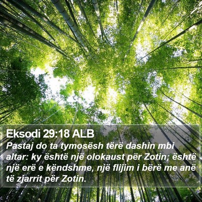 Eksodi 29:18 ALB Bible Verse Image