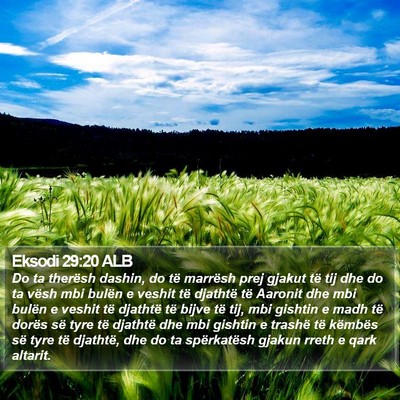 Eksodi 29:20 ALB Bible Verse Image