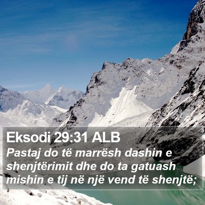 Eksodi 29:31 ALB Bible Verse Image