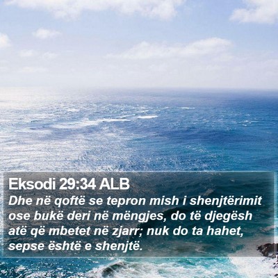Eksodi 29:34 ALB Bible Verse Image