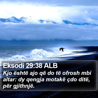 Eksodi 29:38 ALB Bible Verse Image