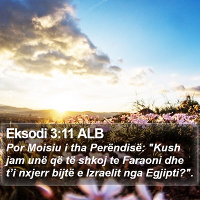 Eksodi 3:11 ALB Bible Verse Image