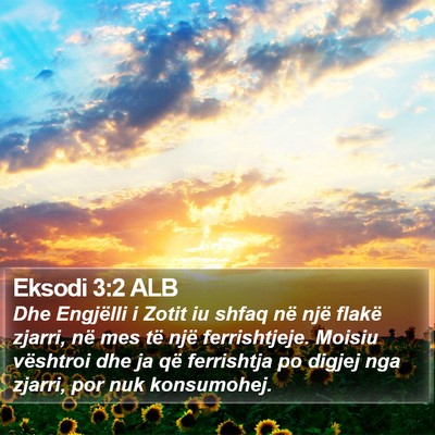 Eksodi 3:2 ALB Bible Verse Image