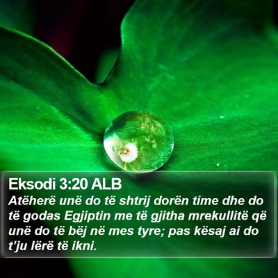 Eksodi 3:20 ALB Bible Verse Image