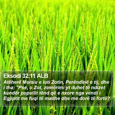 Eksodi 32:11 ALB Bible Verse Image