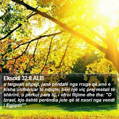 Eksodi 32:8 ALB Bible Verse Image
