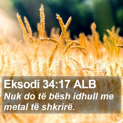 Eksodi 34:17 ALB Bible Verse Image