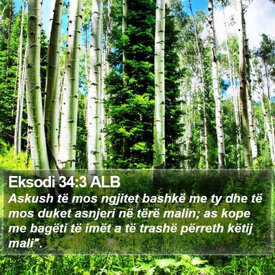 Eksodi 34:3 ALB Bible Verse Image