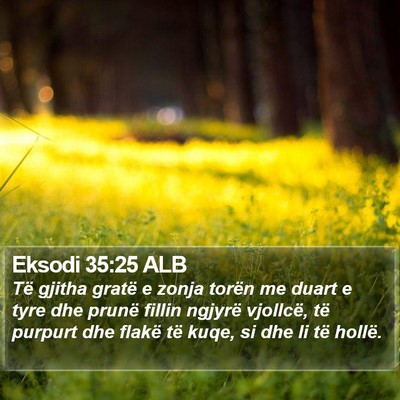 Eksodi 35:25 ALB Bible Verse Image