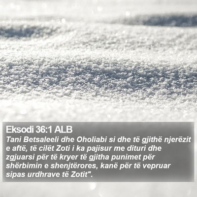 Eksodi 36:1 ALB Bible Verse Image