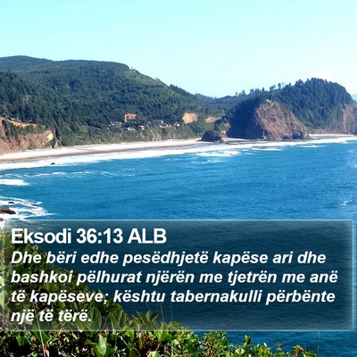 Eksodi 36:13 ALB Bible Verse Image