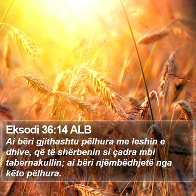 Eksodi 36:14 ALB Bible Verse Image