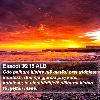 Eksodi 36:15 ALB Bible Verse Image