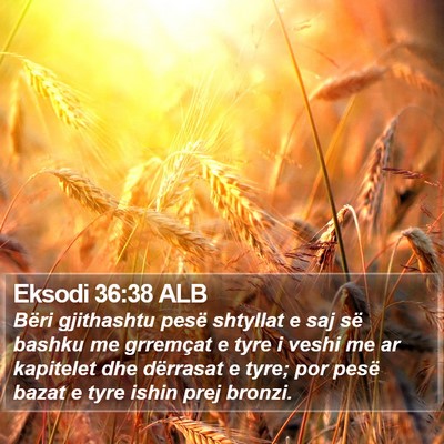 Eksodi 36:38 ALB Bible Verse Image