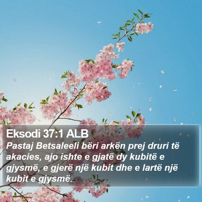 Eksodi 37:1 ALB Bible Verse Image
