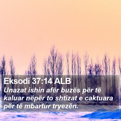 Eksodi 37:14 ALB Bible Verse Image