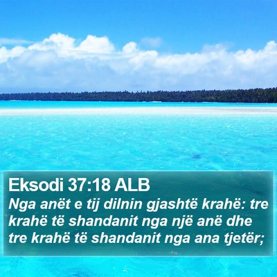 Eksodi 37:18 ALB Bible Verse Image