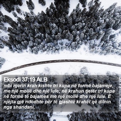 Eksodi 37:19 ALB Bible Verse Image