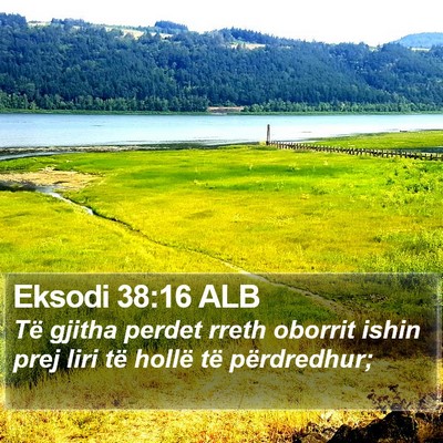 Eksodi 38:16 ALB Bible Verse Image