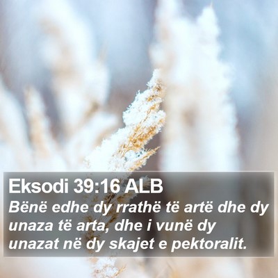 Eksodi 39:16 ALB Bible Verse Image