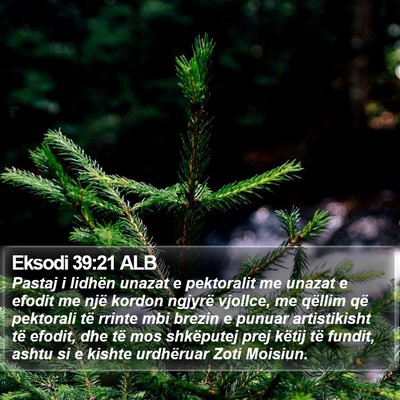 Eksodi 39:21 ALB Bible Verse Image