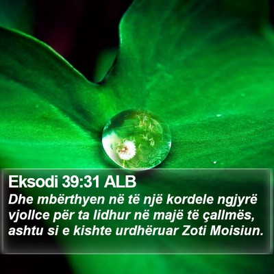 Eksodi 39:31 ALB Bible Verse Image