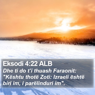 Eksodi 4:22 ALB Bible Verse Image