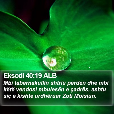 Eksodi 40:19 ALB Bible Verse Image