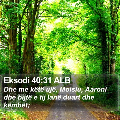 Eksodi 40:31 ALB Bible Verse Image