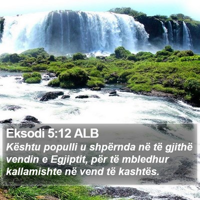 Eksodi 5:12 ALB Bible Verse Image