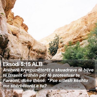 Eksodi 5:15 ALB Bible Verse Image
