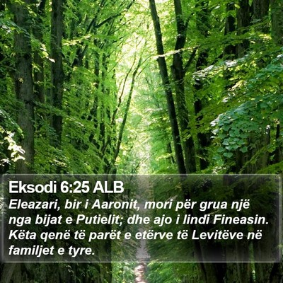 Eksodi 6:25 ALB Bible Verse Image