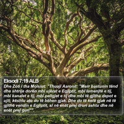Eksodi 7:19 ALB Bible Verse Image