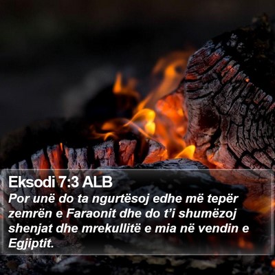 Eksodi 7:3 ALB Bible Verse Image