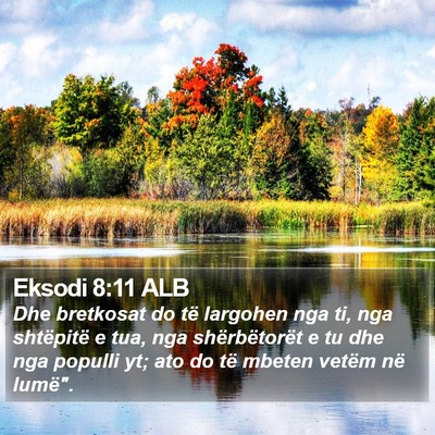 Eksodi 8:11 ALB Bible Verse Image