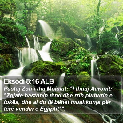 Eksodi 8:16 ALB Bible Verse Image