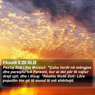 Eksodi 8:20 ALB Bible Verse Image