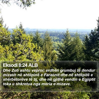 Eksodi 8:24 ALB Bible Verse Image